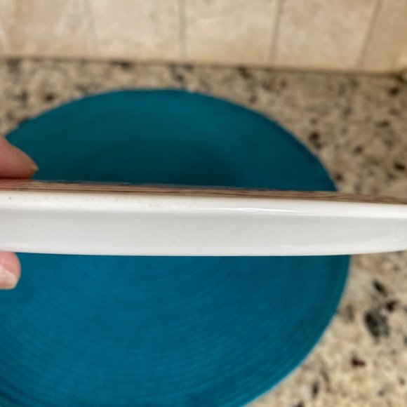 SPODE Archive Collection Georgian Series "Botanicals" Display Plate Collectible - Picture 6 of 6